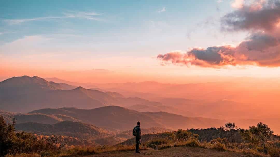 Navigating Healthcare in Young Adulthood: An Orthopedic Perspective on a Cross-Sectional Survey